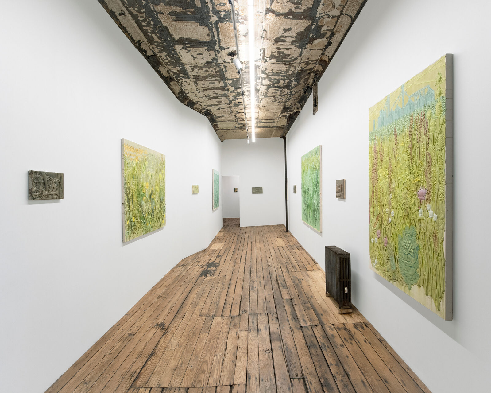 Image gallery Michael Assiff: USA Flowers