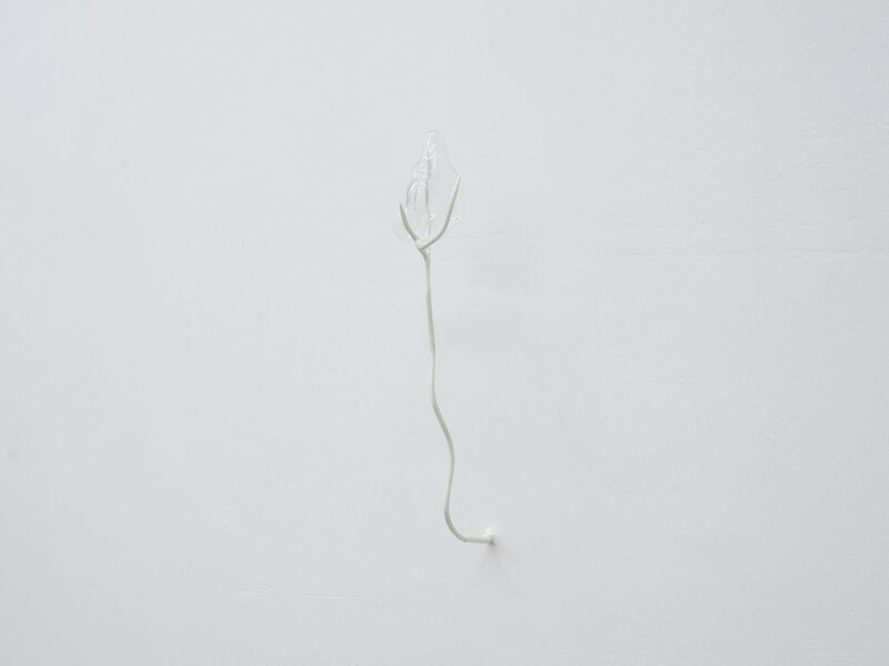 Odyssea: Le sel de la terre