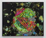 Alice Wang: Windstorm on Saturn, Basalt Columns, MDMA, Serotonin