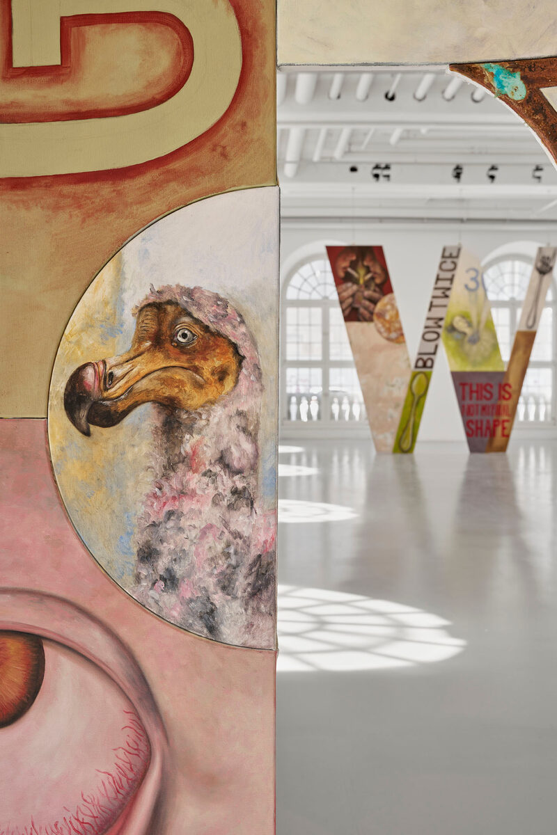 What an Old Woman Will Wear