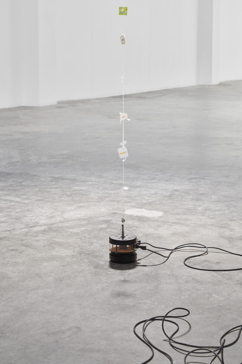 Future Mechanism Rag Plus Two Grams