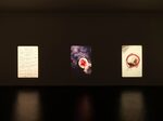 View exhibition
