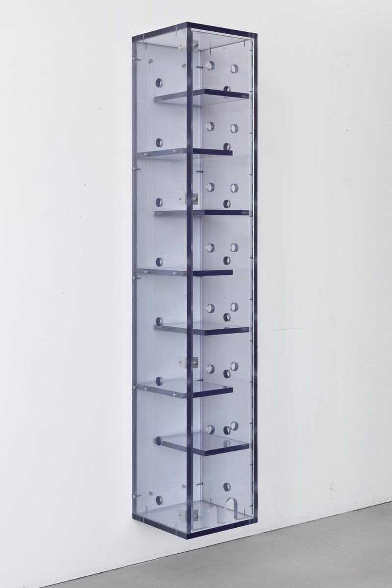 Alessandro Agudio, Edie Duffy, Gina Folly, Jason Hirata, Josephine Pryde