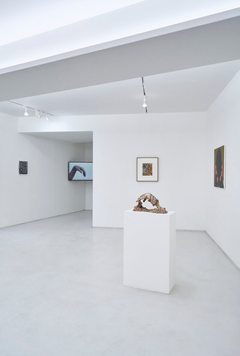 Secret Asian Man presents: 언니 언니(unni)