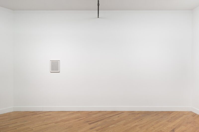 Snake, Turtle, Alligator