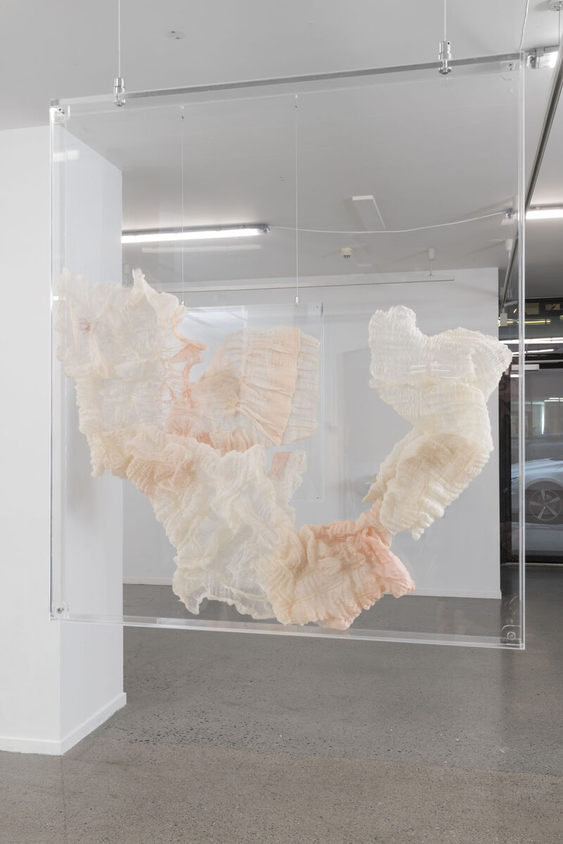 MATERIA MEDICA MEDICINA MAGICA