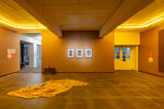 View exhibition
