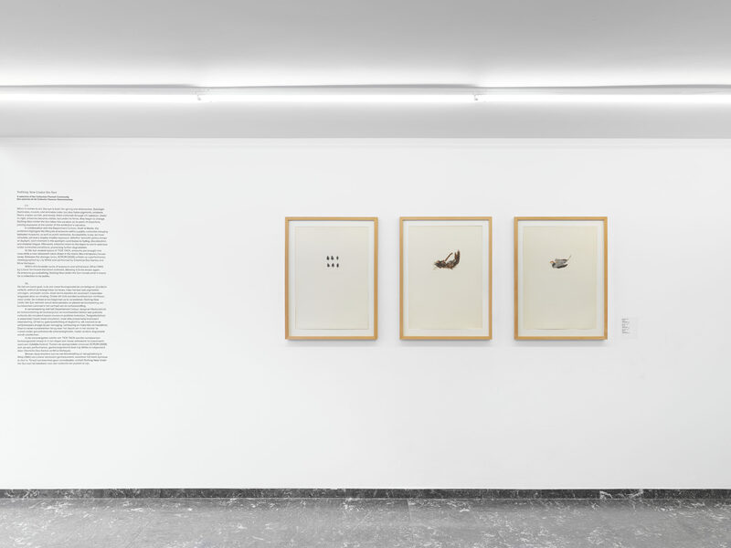 Nothing New Under the Sun — A selection of the Collection Flemish Community