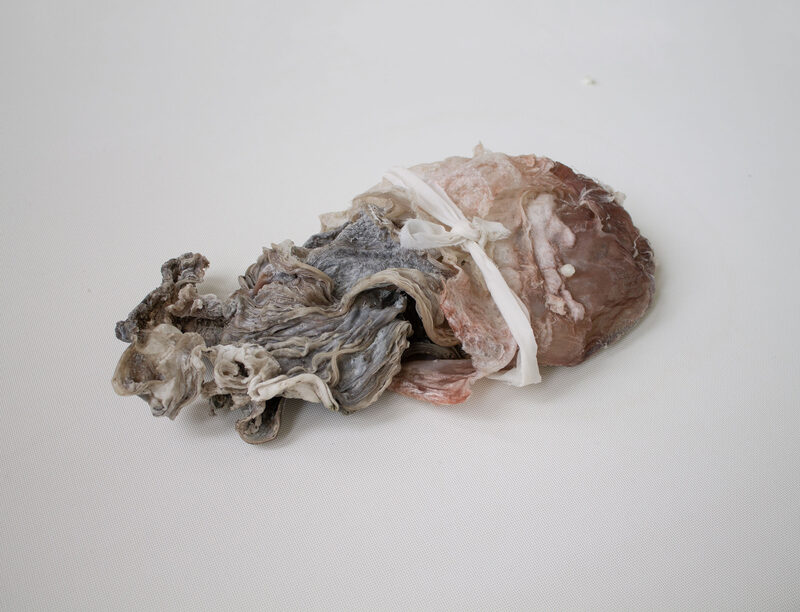 Withering into breath, wetness undoes itself