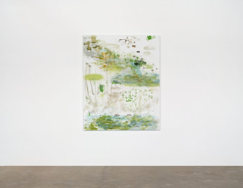 Trevor Shimizu