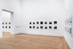 Peter Hujar / Liz Deschenes: Persistence of Vision