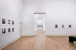 Peter Hujar / Liz Deschenes: Persistence of Vision