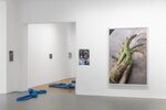 View exhibition
