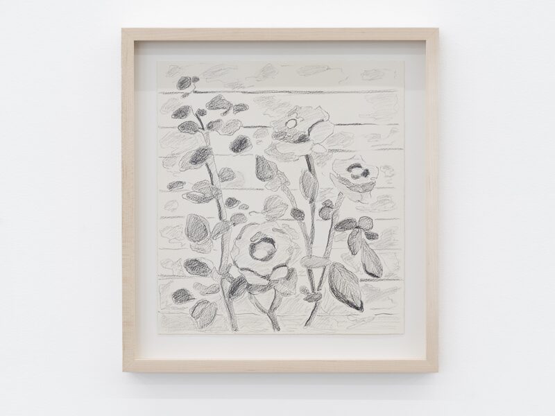 Taiyo to Ame no Melody (Melody of Sun and Rain)