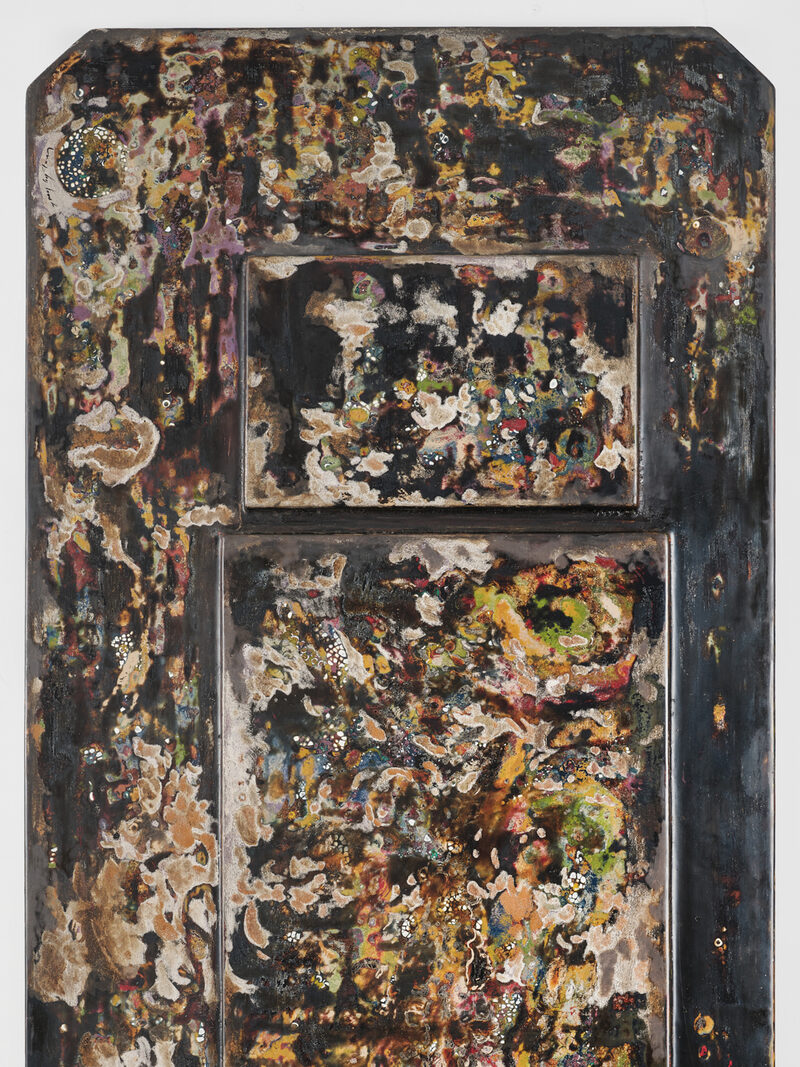 Wake, mayfly…