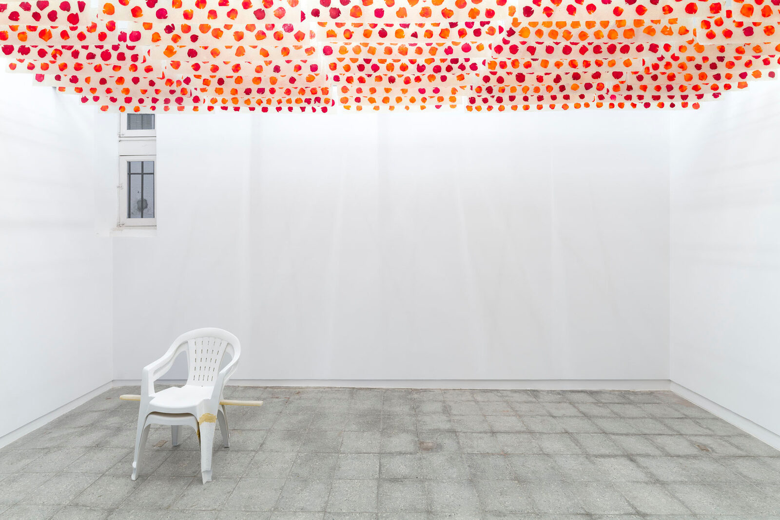 Image gallery gran ojo