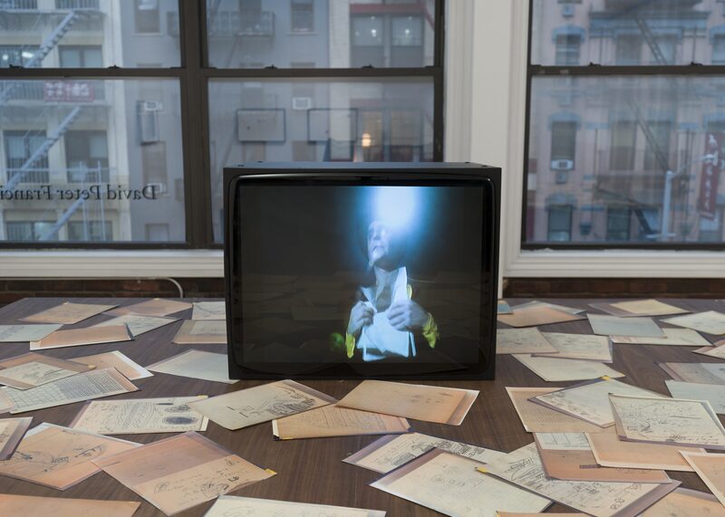 Snake, Turtle, Alligator