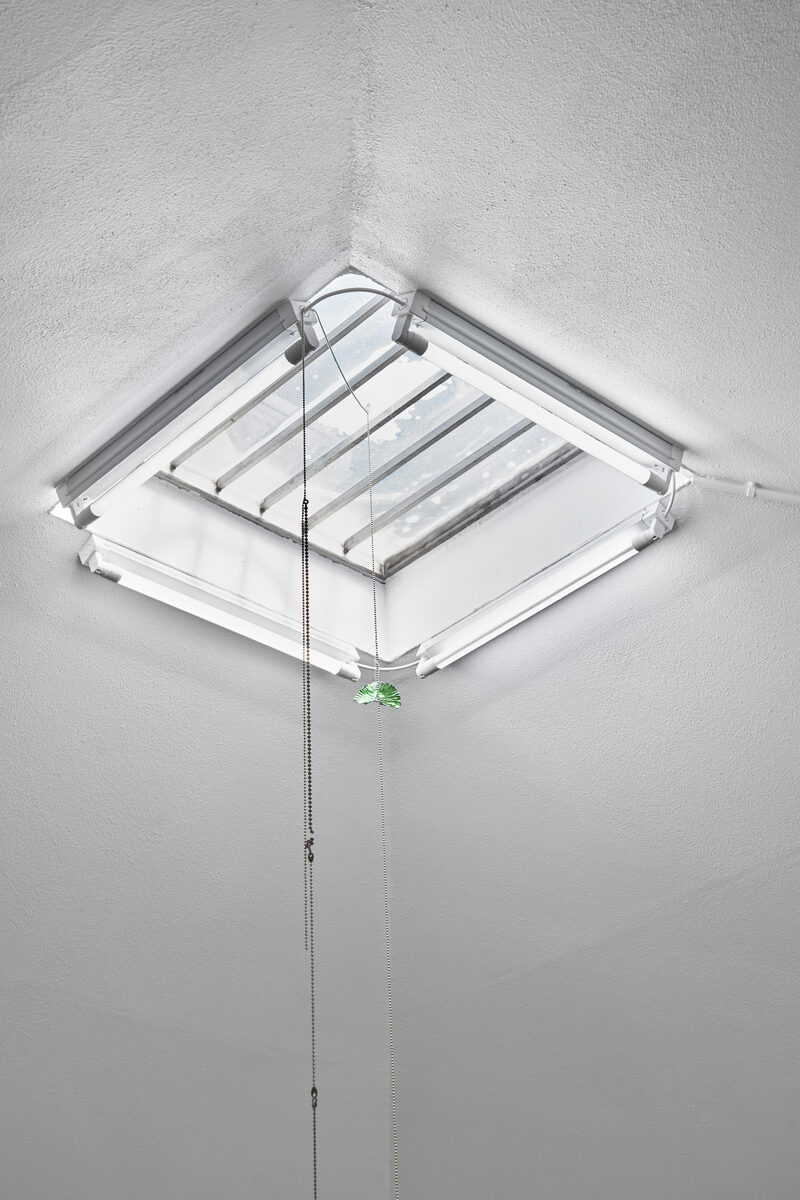 Future Mechanism Rag Plus Two Grams