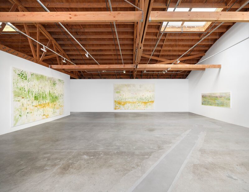 Trevor Shimizu