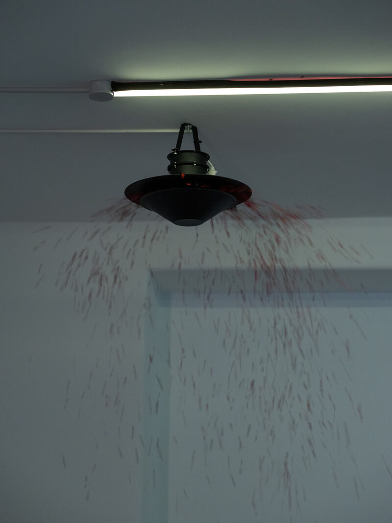Spit and Image