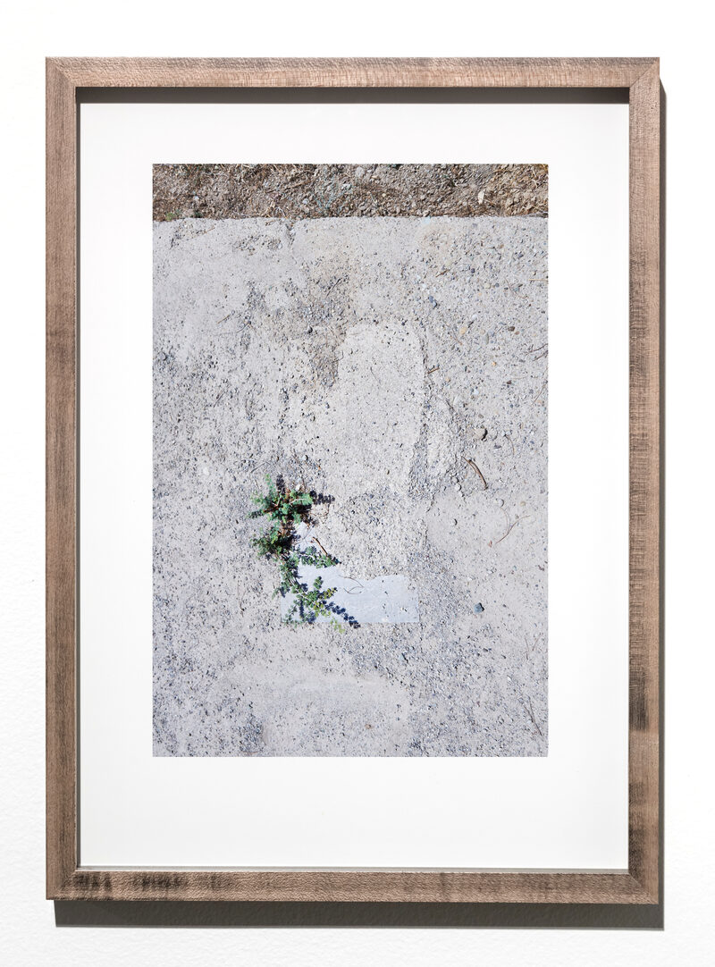 Speaking After the Body