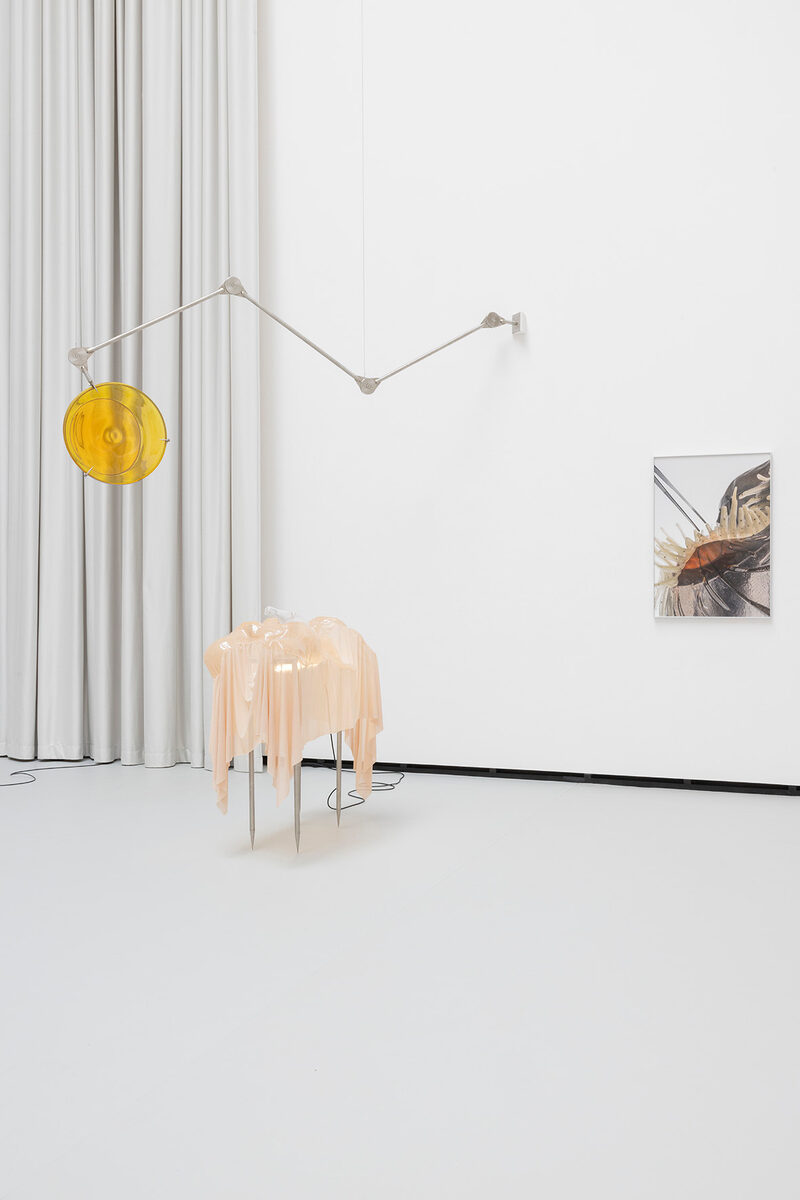 still (a little life)