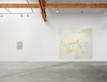 Trevor Shimizu