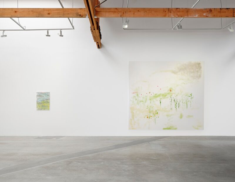 Trevor Shimizu
