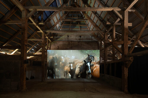 View featured exhibition Surge at Kunsthal Thy