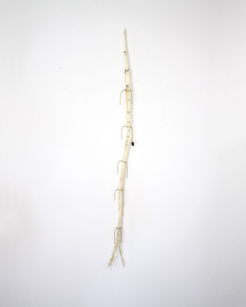 Withering into breath, wetness undoes itself