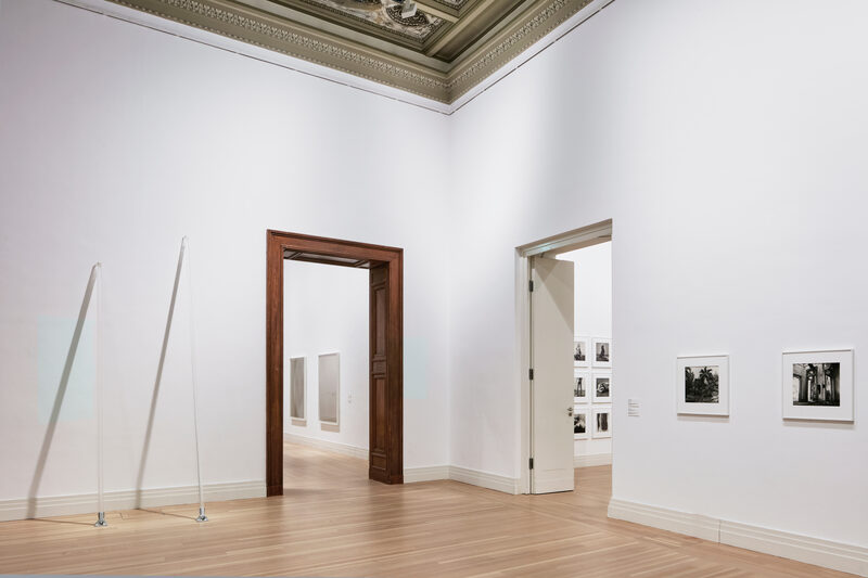 Peter Hujar / Liz Deschenes: Persistence of Vision