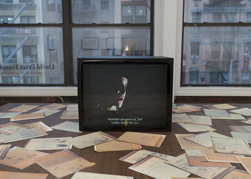 Snake, Turtle, Alligator