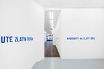 LAWRENCE WEINER: IN RELATION TO PROBABLE USE