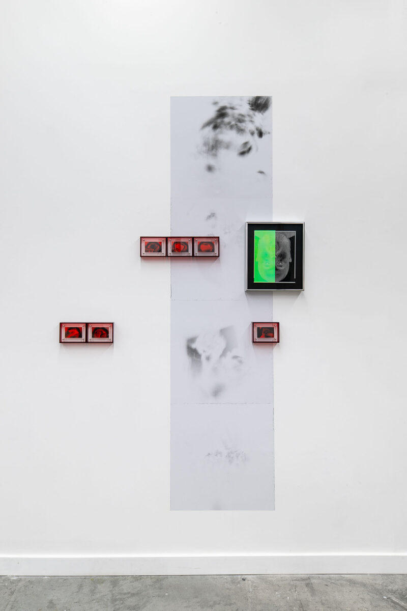 for that gob casts the image