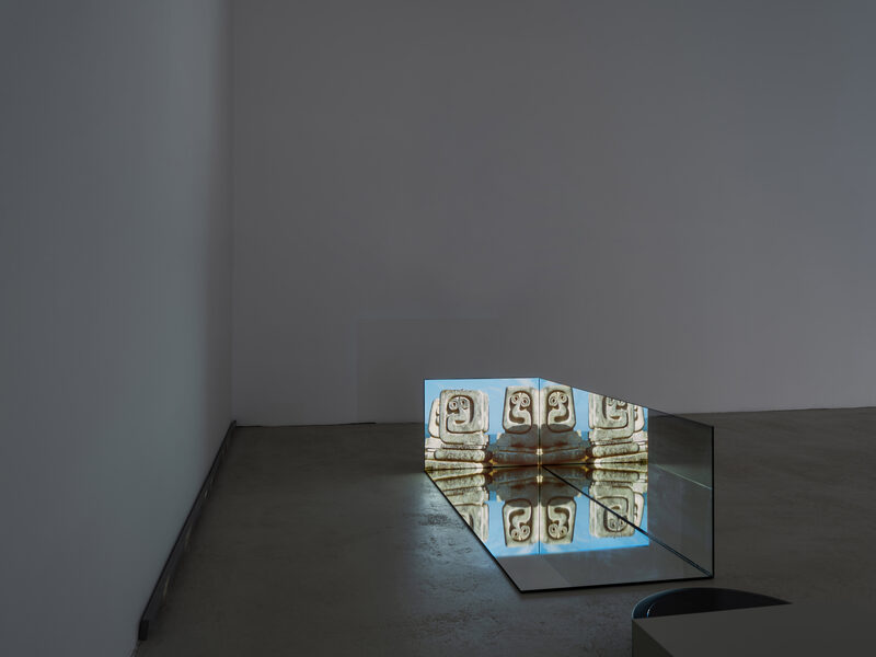 Confusion model into a butterfly