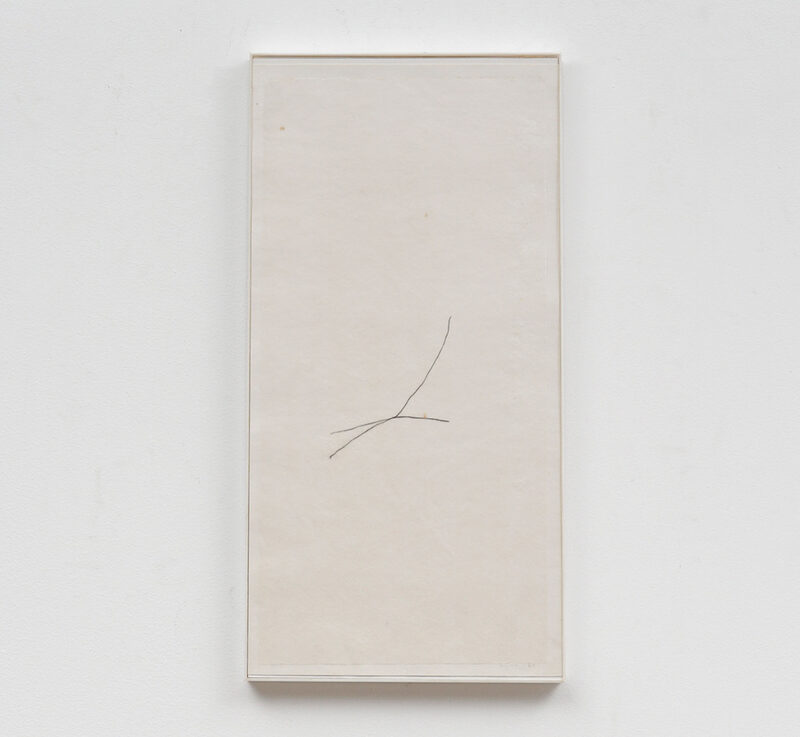 From the Collection