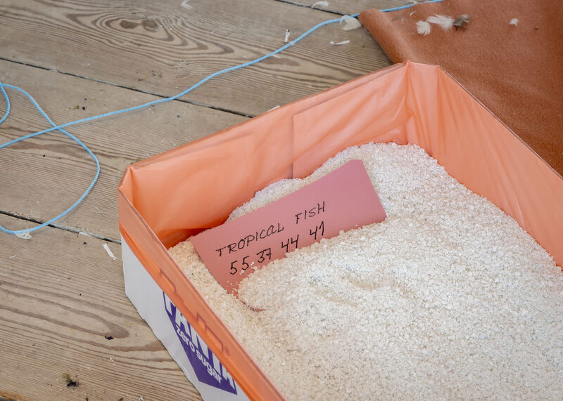 Elena Narbutaitė, Jason Dodge