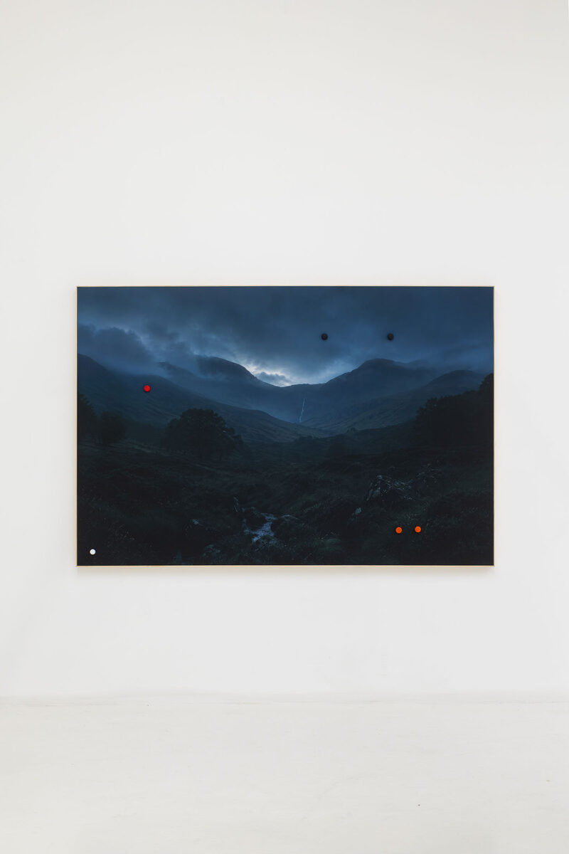 Neblina alrededor del árbol