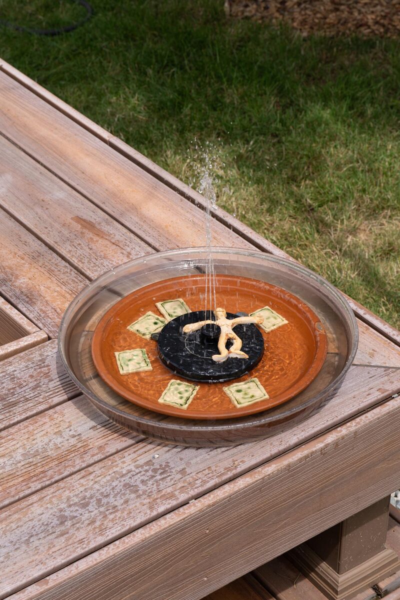 Pond in a Bowl