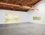 Trevor Shimizu