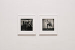 Peter Hujar / Liz Deschenes: Persistence of Vision