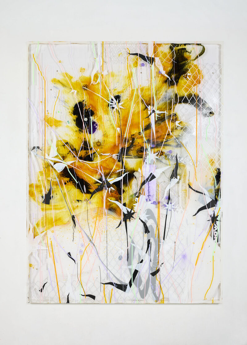 Sol LeWitt &amp; David Douard