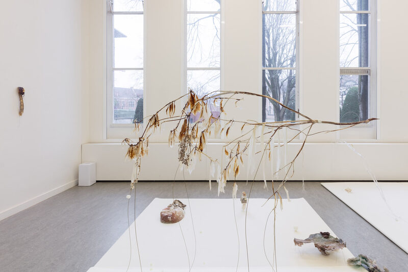 Withering into breath, wetness undoes itself