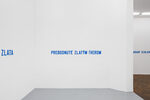LAWRENCE WEINER: IN RELATION TO PROBABLE USE