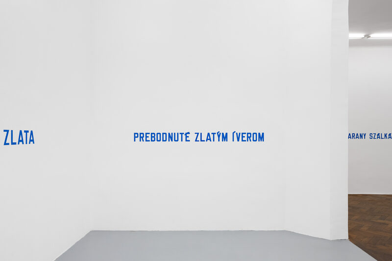 LAWRENCE WEINER: IN RELATION TO PROBABLE USE