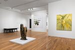 Longer Than the Sky: Art of the Obama Years