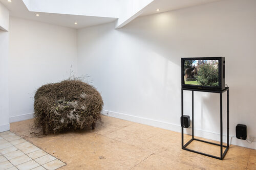 View featured exhibition Change, man at Flat Time House