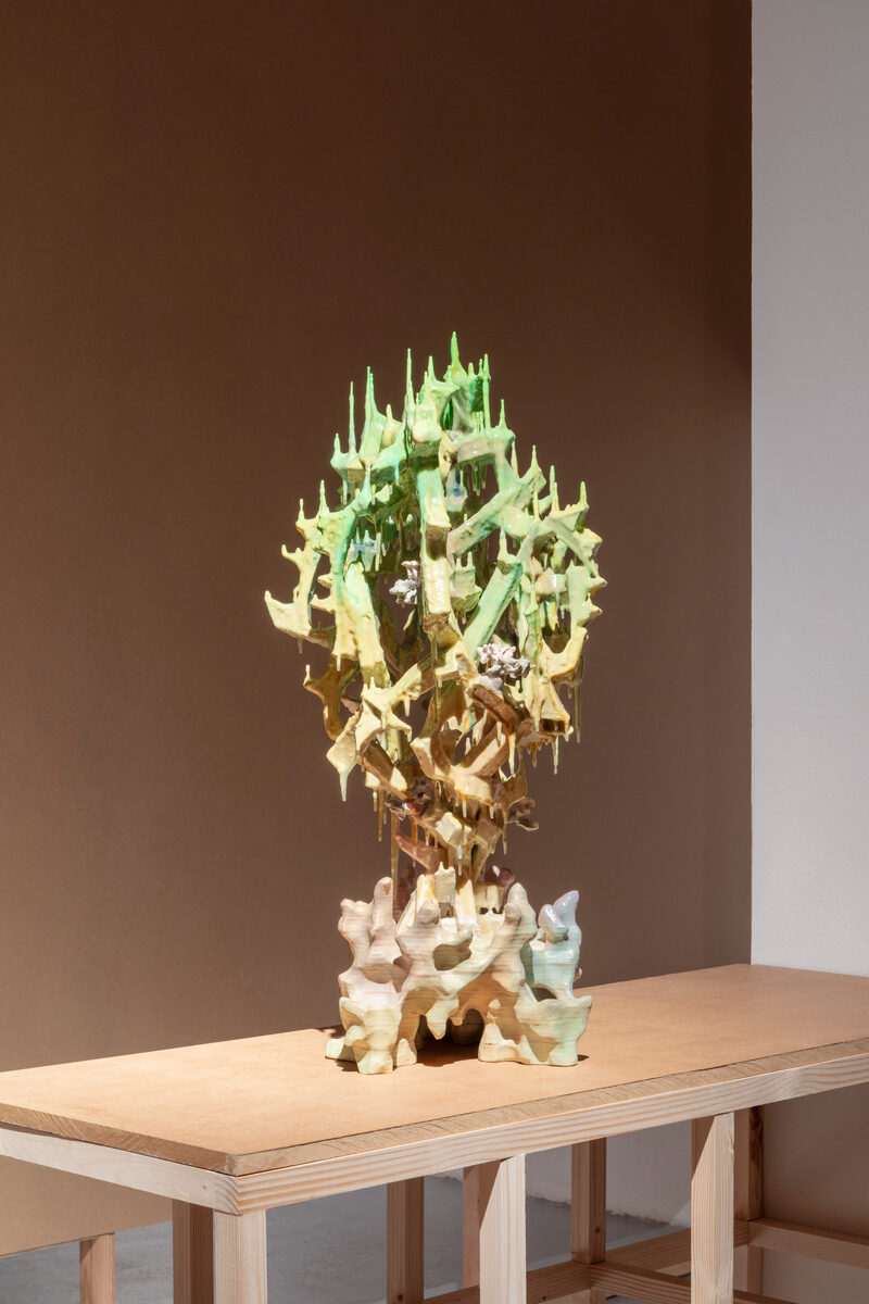 Tadeáš Podracký: It grows with you