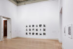 Peter Hujar / Liz Deschenes: Persistence of Vision
