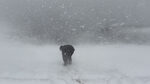 Snow